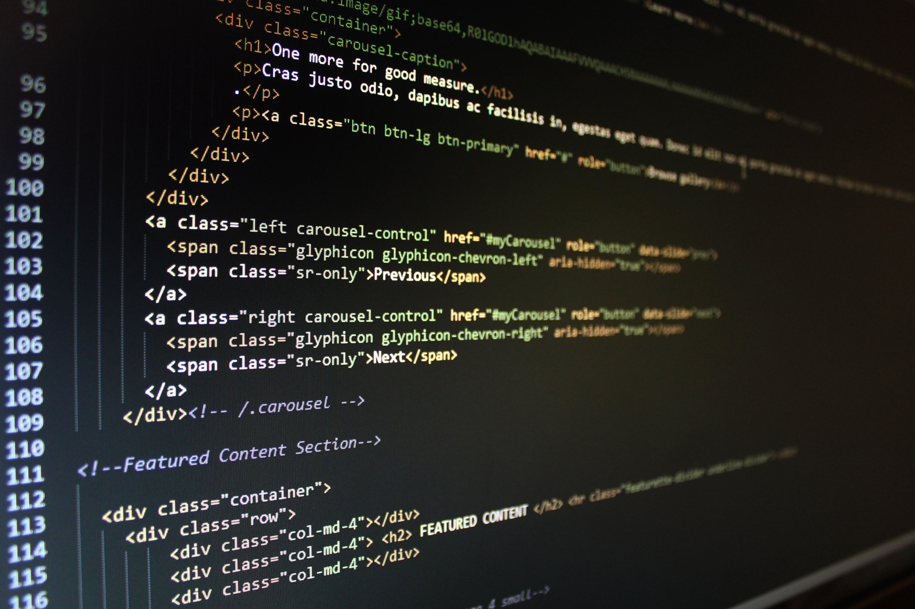 Developer reviewing HTML and site structure on a monitor